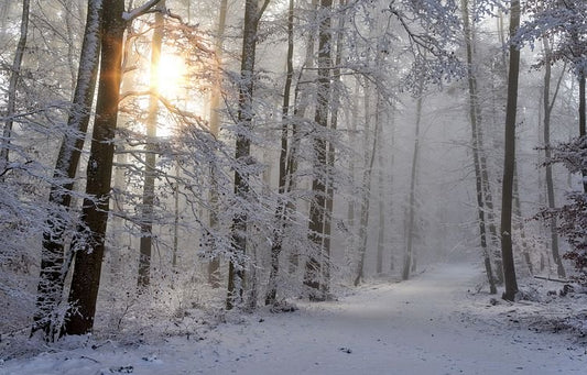 Top Trends für den Winter 2020 / 2021