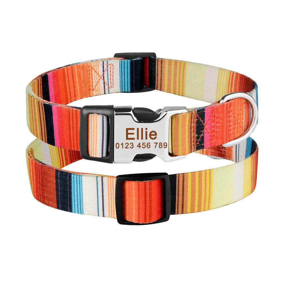 Personalisierbares Hundehalsband mit Namensgravur / Minikauf.ch