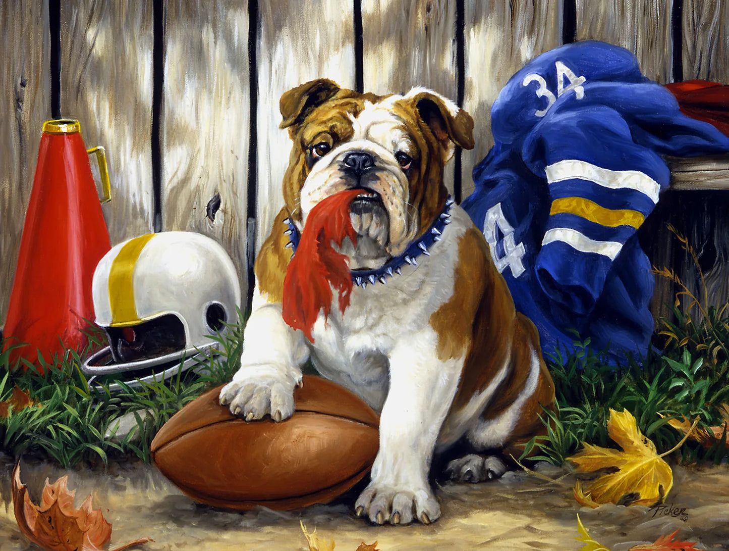 Landschaftsbilder 500 Puzzleteile, Football Hund / Minikauf.ch