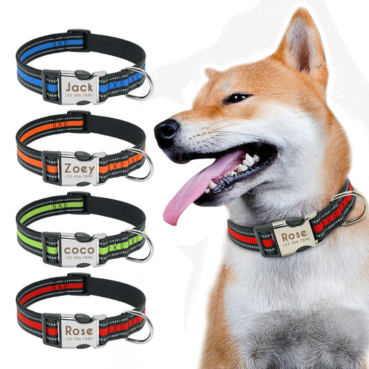 Personalisiertes Nylon Hundehalsband / Minikauf.ch
