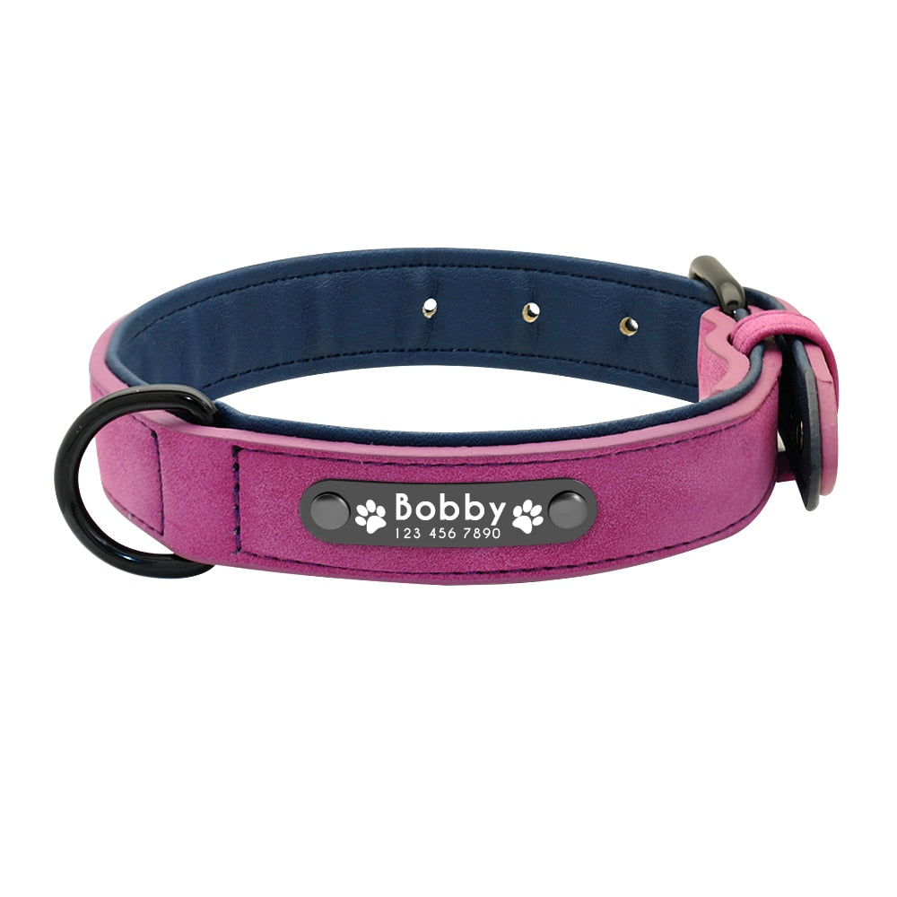 Personalisiertes Leder Hundehalsband mit Name & Nummer, lila / Minikauf.ch