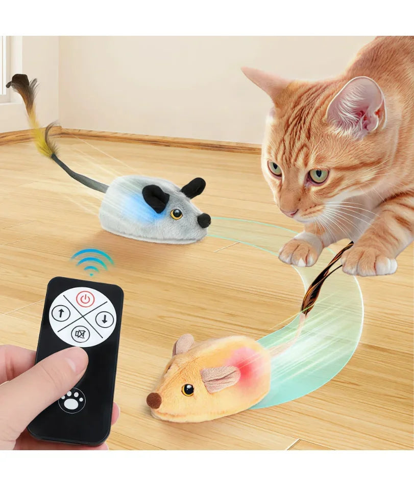 Interaktives Maus Katzenspielzeug / Minikauf.ch