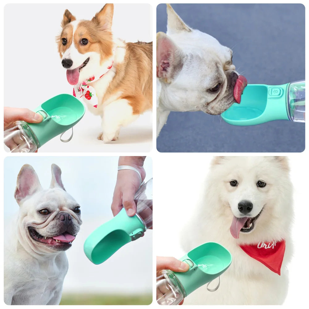 Tragbare Hundewasserflasche / Minikauf.ch