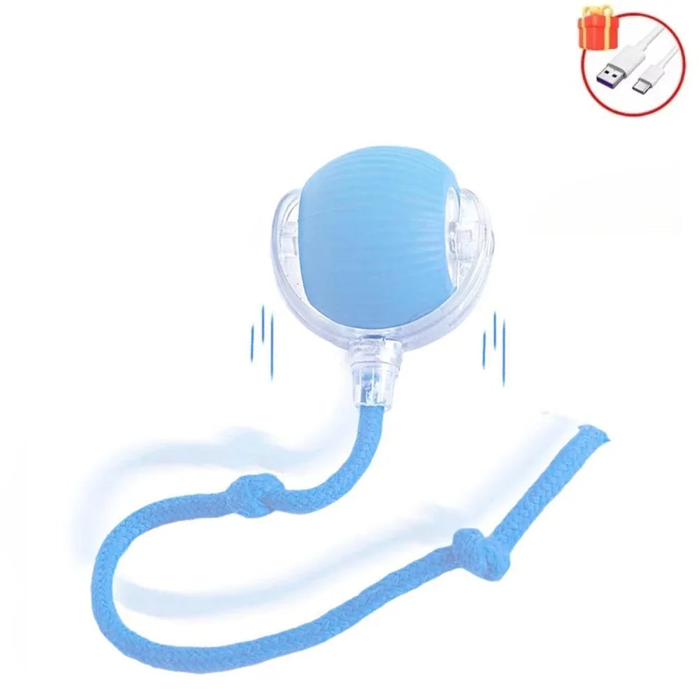 Interaktiver Katzenball Smart Spielzeug – Automatisch & Wiederaufladbar, blau / Minikauf.ch