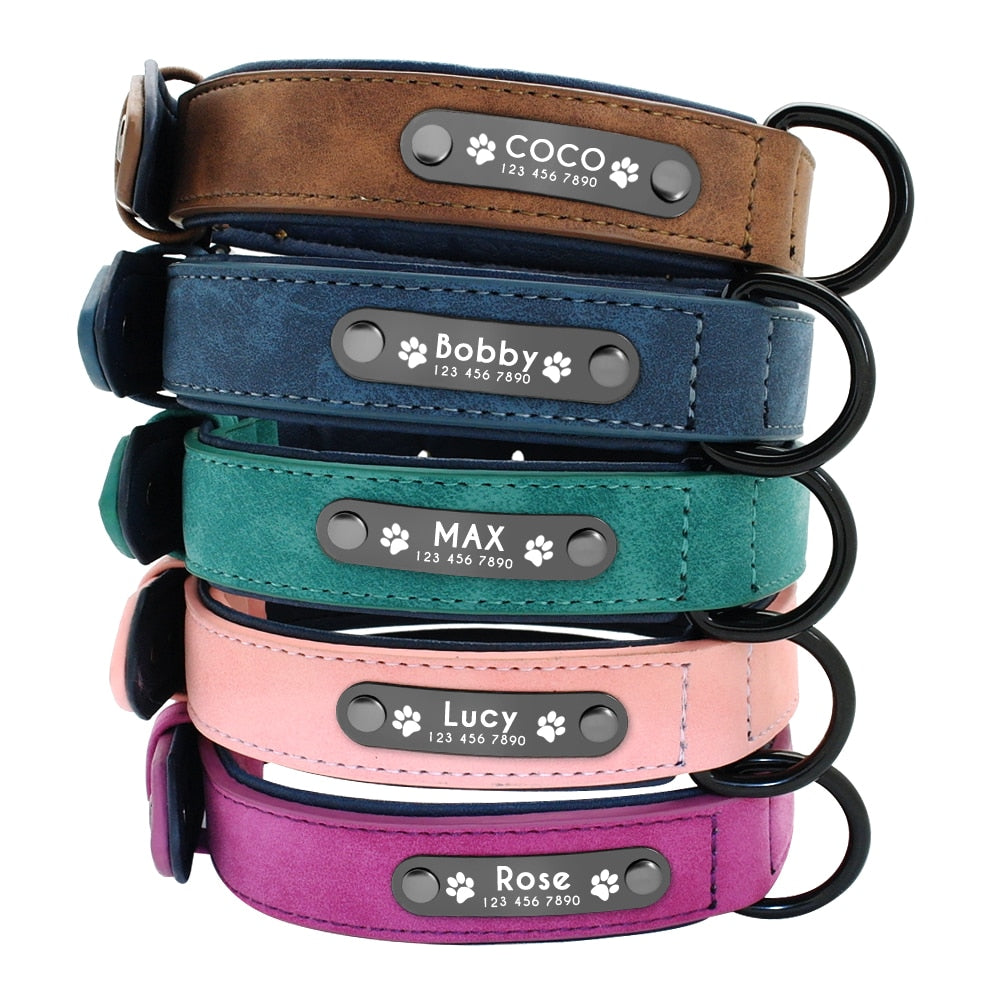 Personalisiertes Leder Hundehalsband mit Name & Nummer / Minikauf.ch