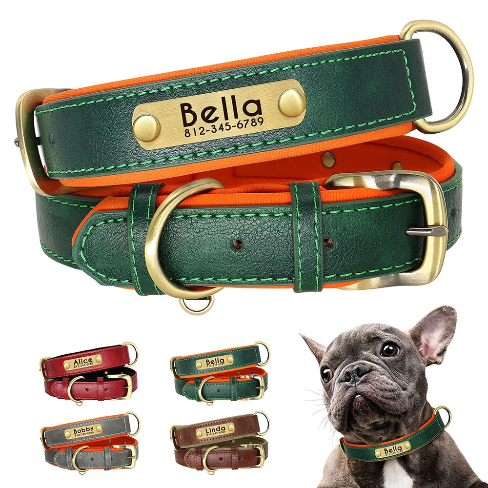 Leder Hundehalsband mit Name und Nummer / Minikauf.ch